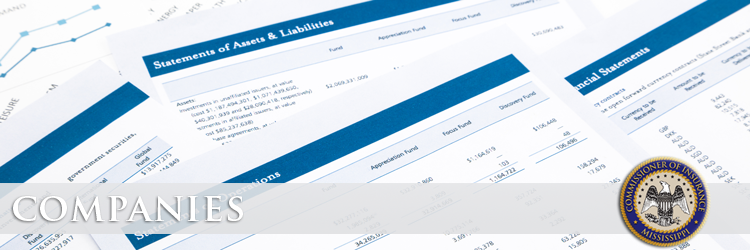 Financial Filing Submission Portal